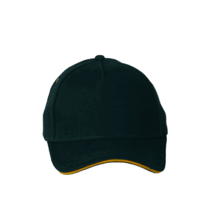 Sandwich Cap Bottle Green&gold