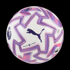 PUMA ORBITA Hard Ground Premier League